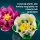LEGO BOTANICALS 11511 Lilie lodne - 1529719 - zdjęcie 8